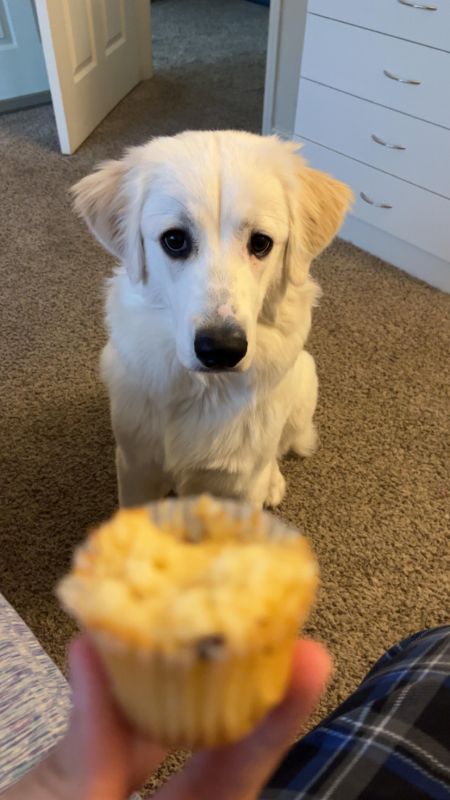 Lily