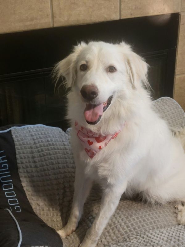 Yuki