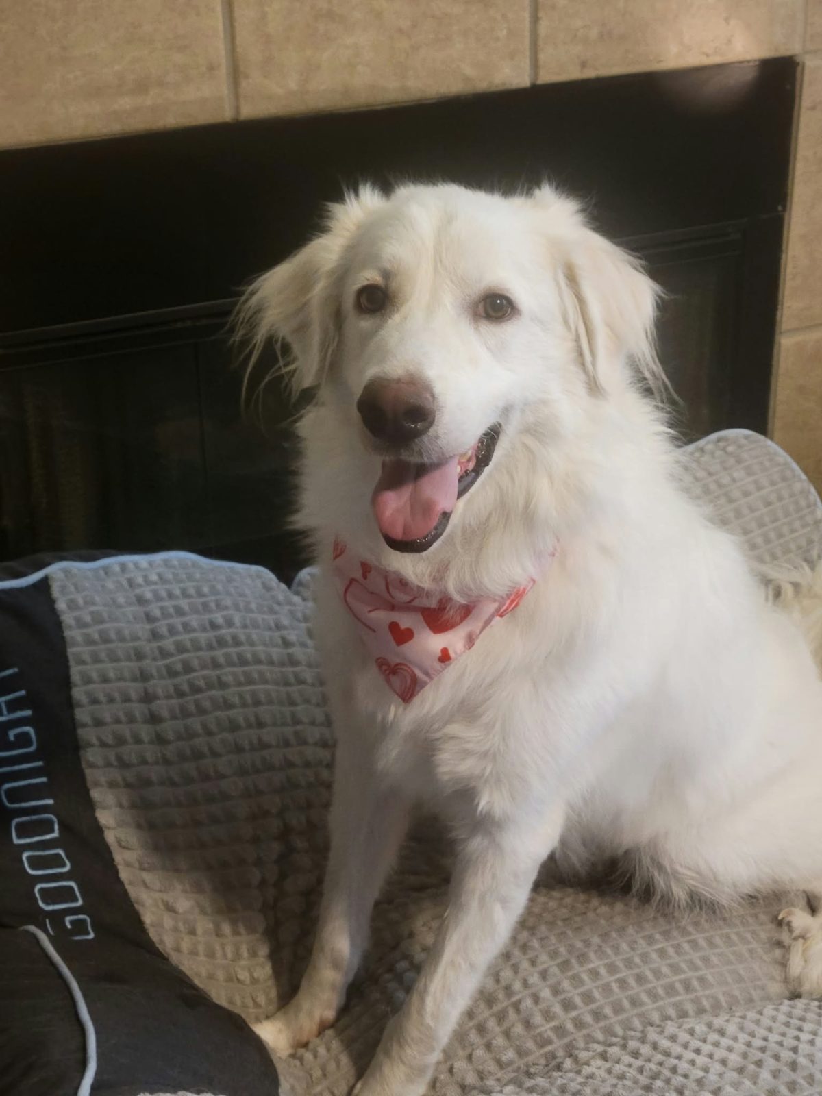 Yuki