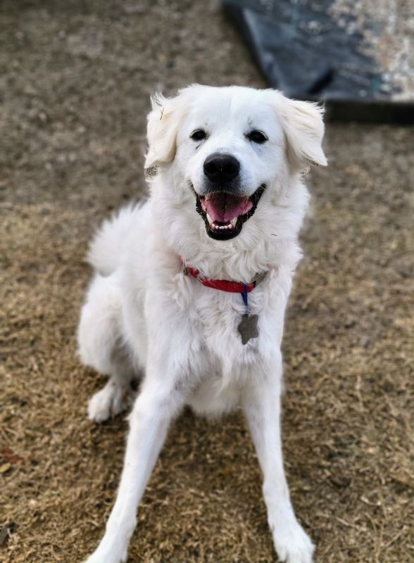 Zoey Yvette AKA Findley