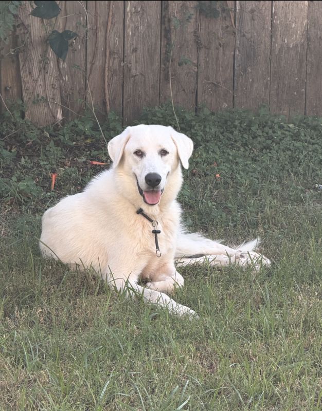 Casper