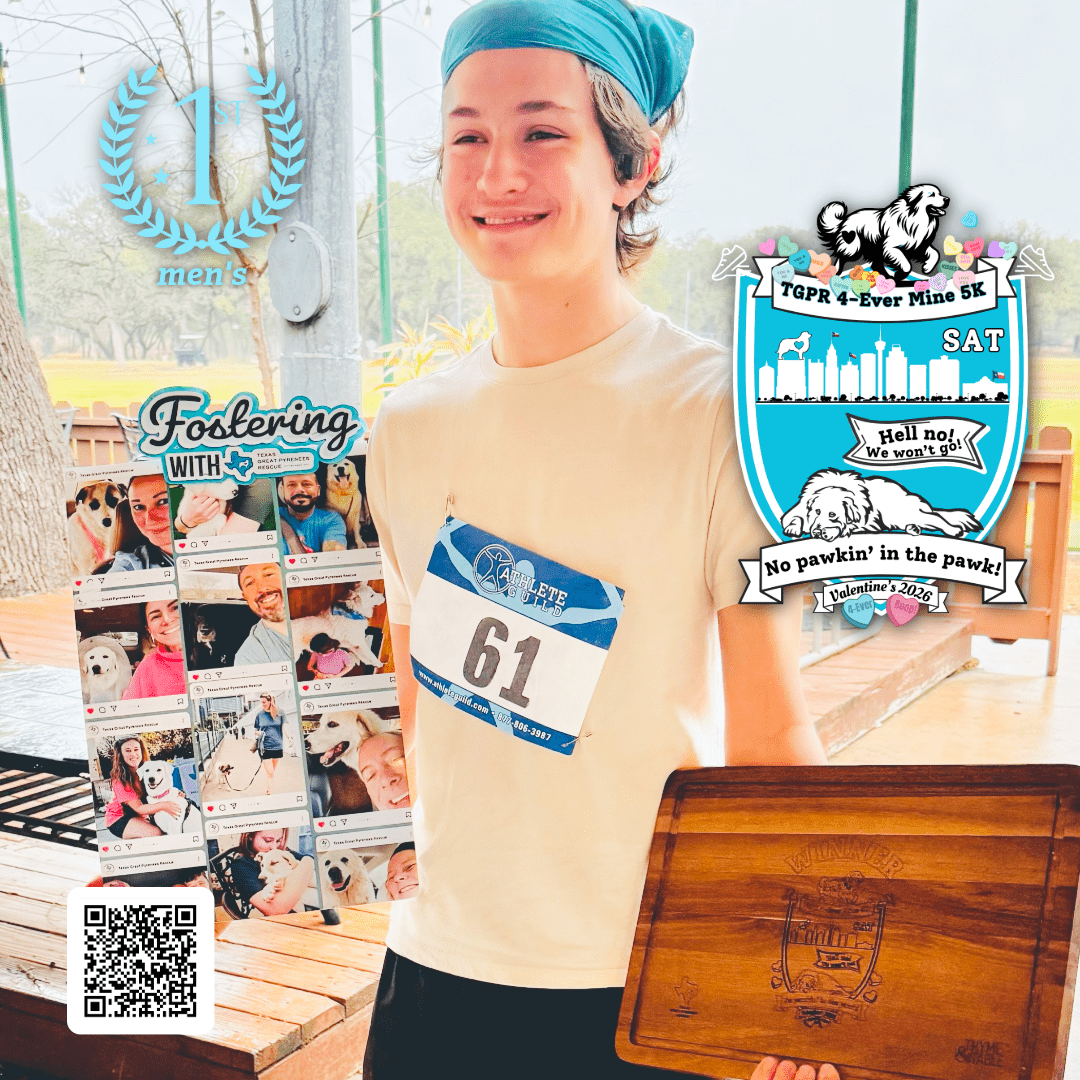 Event_SAT_VDayRun_08