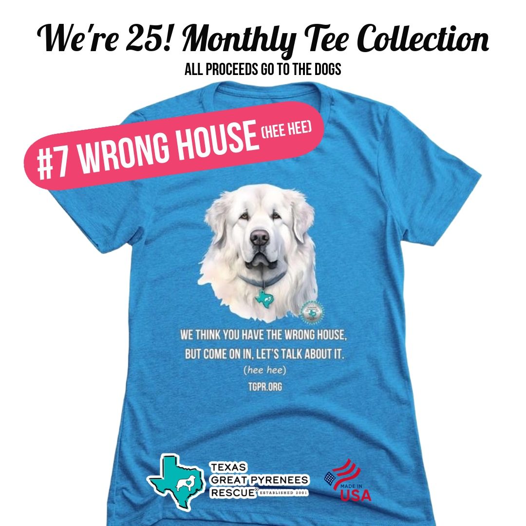 Wrong House